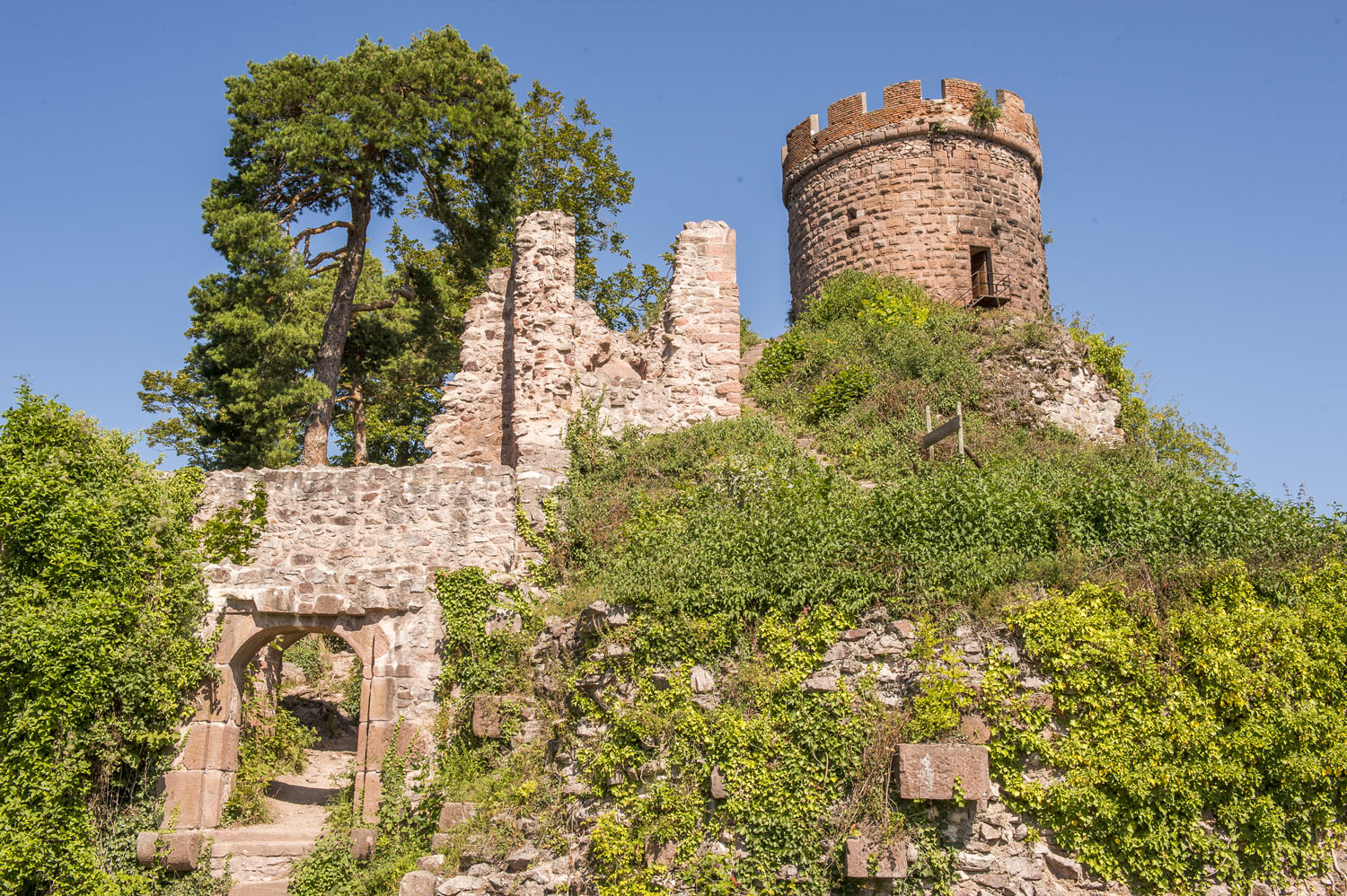 Haut-Ribeaupierre Castle | Alsace, terre de châteaux forts