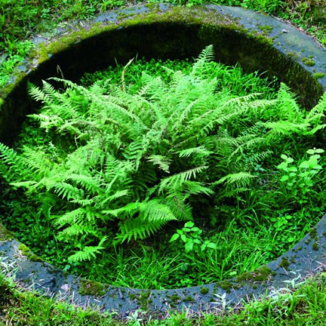 Salm La Broque Alsace Terre De Châteaux Forts - 